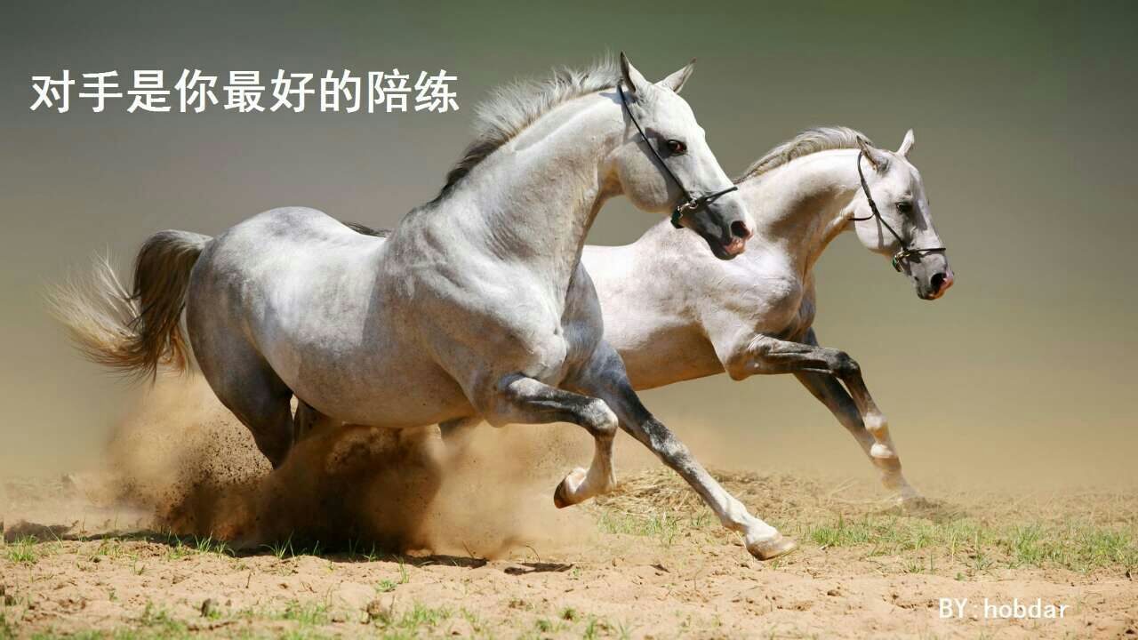 對手是你最好的陪練